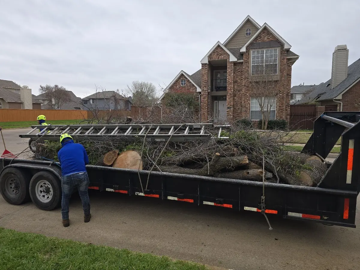 Expert Lot Clearing with proper safety equipment in Campti